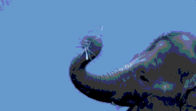 仿生象鼻 仿生象鼻